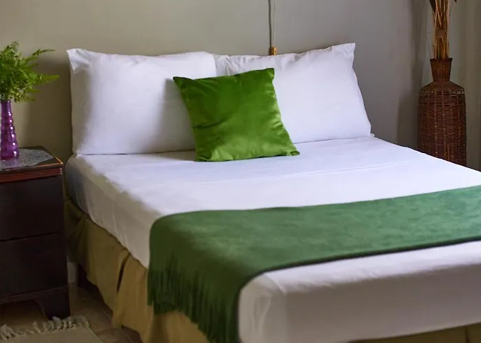 Pergola House 1 Or 2 Bedrooms * Montego Bay